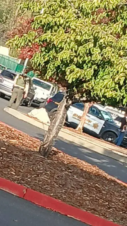 ai character: Tyler Mattyshock background