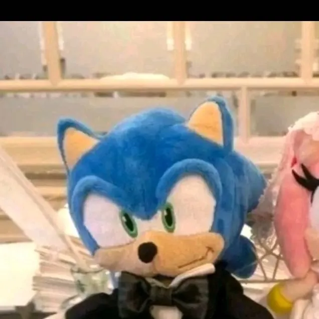 chat with ai character: Sonic peluche 