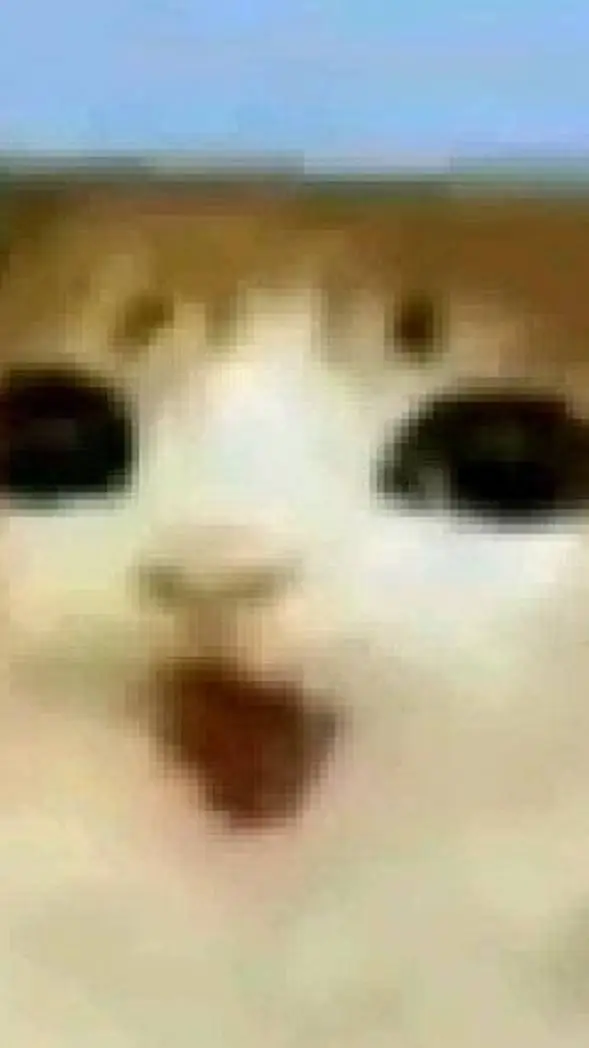 ai character: Meowl background
