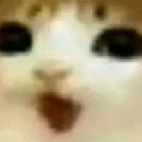 chat with ai character: Meowl