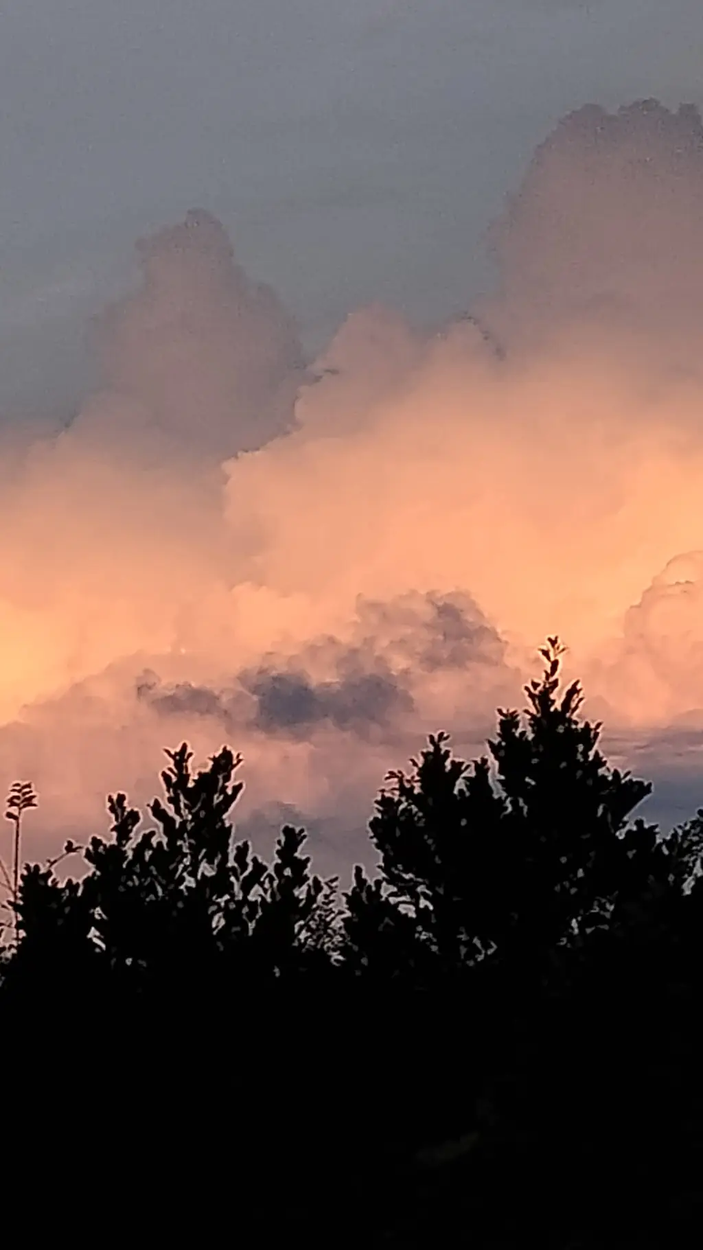 ai character: Tyler the creator background