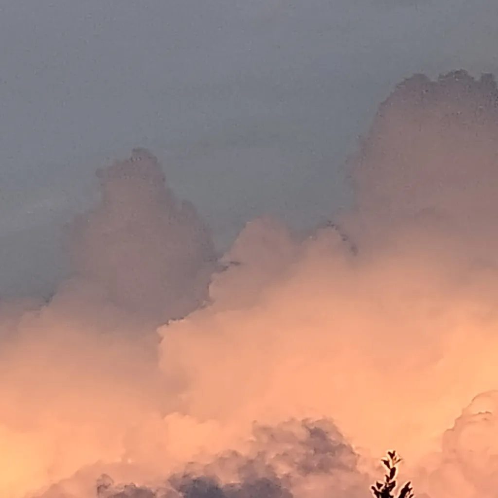 chat with ai character: Tyler the creator