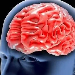 chat with ai character: Sir/Mr Baudelaire