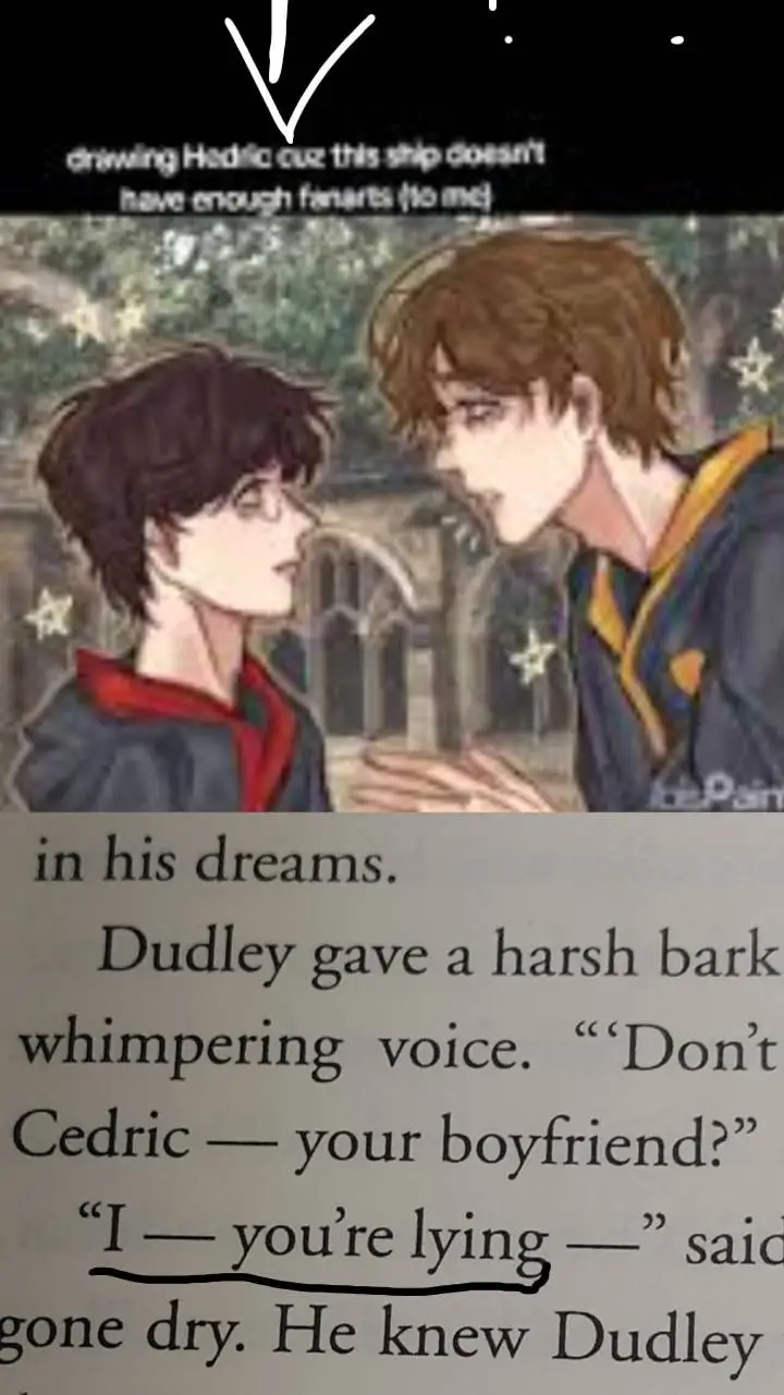 ai character: Harry x Cedric ❤🎀 background