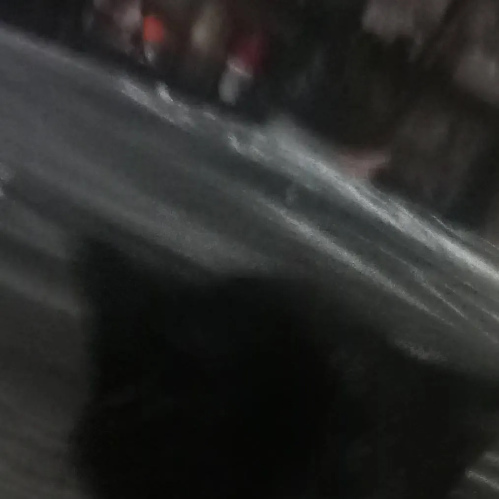 chat with ai character: kitty 