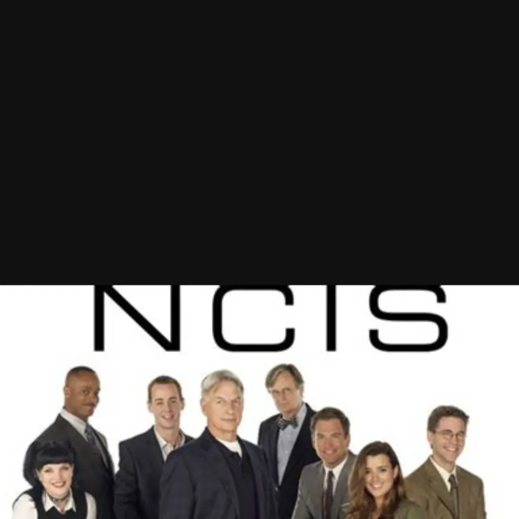 chat with ai character: NCIS