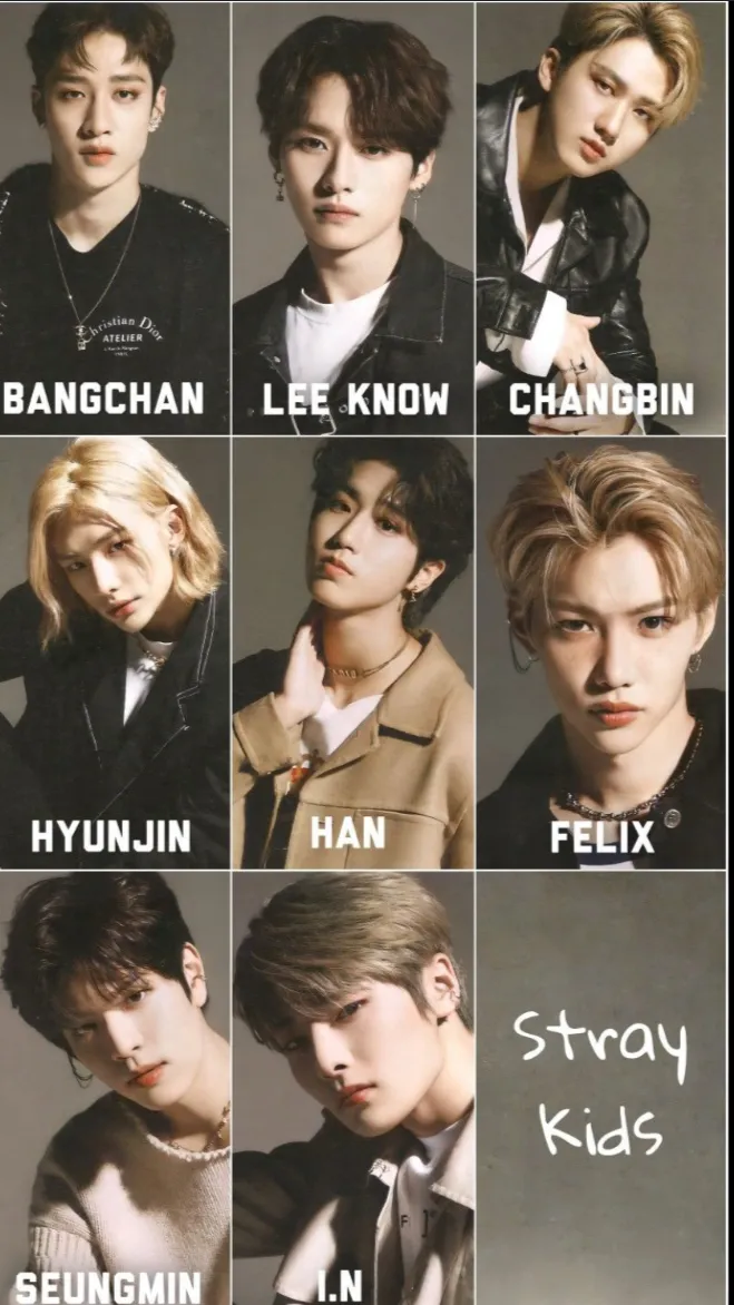 ai character: Stray kids  background