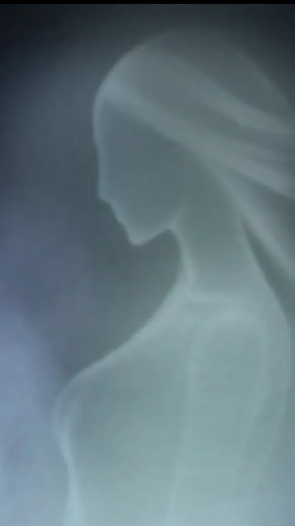 chat with ai character: Querquetulanae