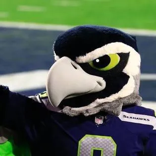 chat with ai character: Blitz Seahawks 💚🔵