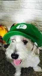 ai character: curly background