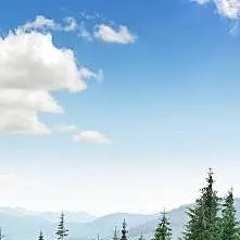 chat with ai character: bosque