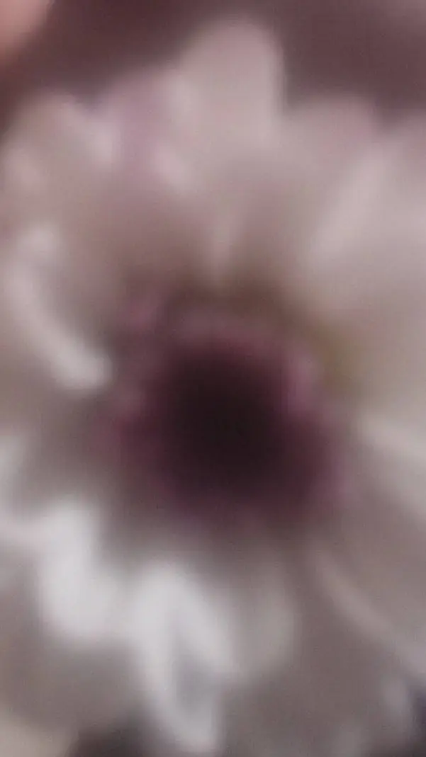 ai character: Dw background