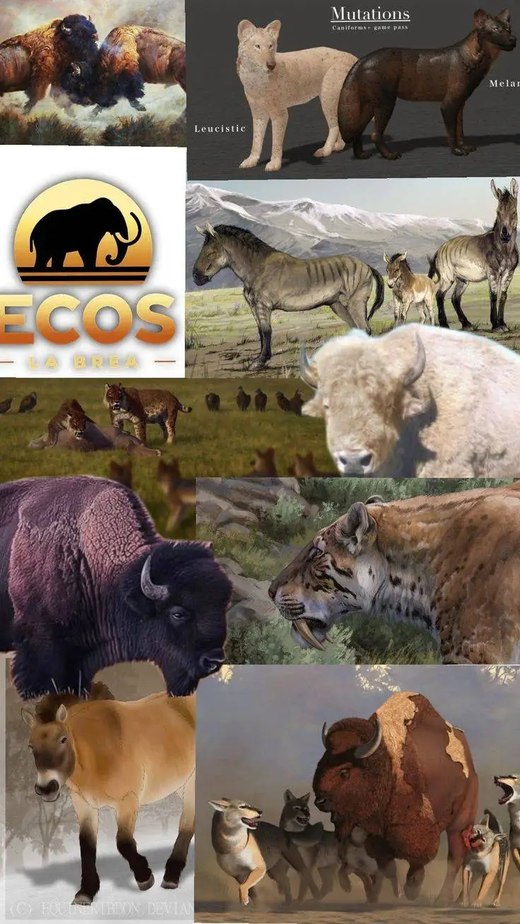 ai character: Ecos LA Brea background