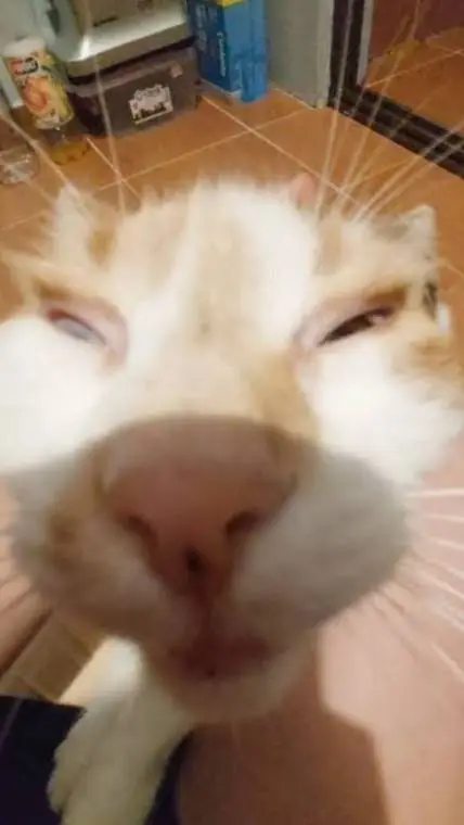 ai character: día de exámenes  background