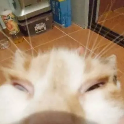 chat with ai character: día de exámenes 