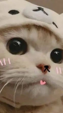 ai character: mi amiga(Lara) background