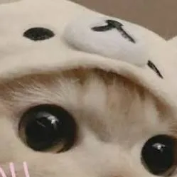 chat with ai character: mi amiga(Lara)