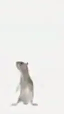 ai character: martha background