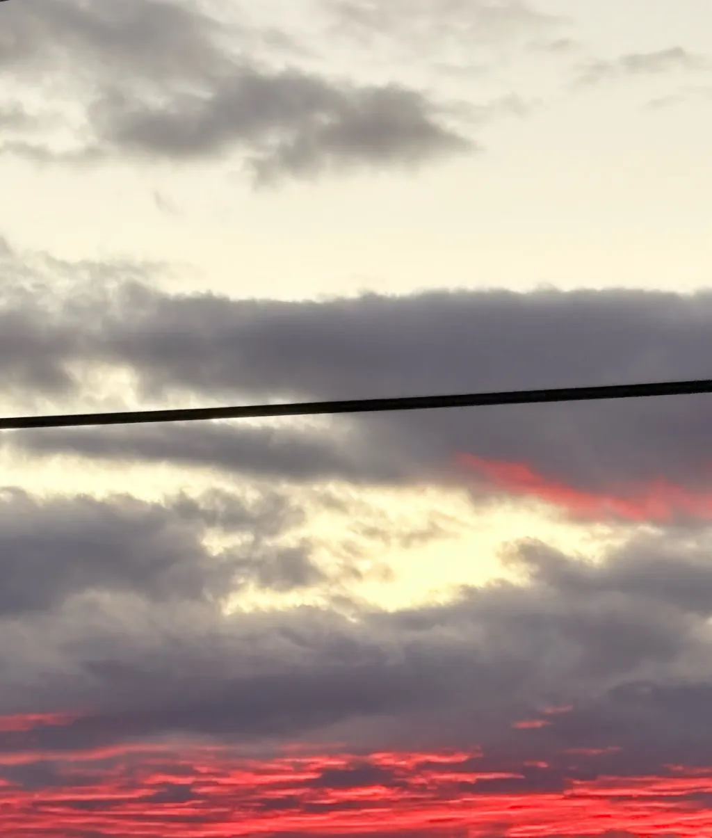 chat with ai character: Stupid