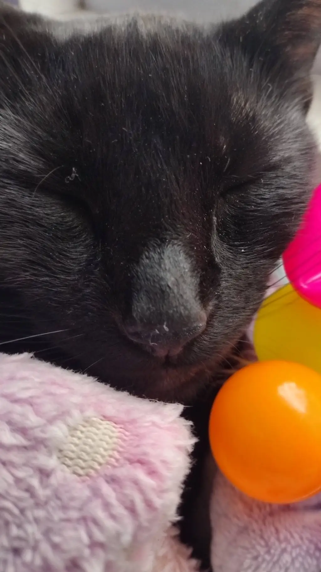 ai character: I am your big sist background