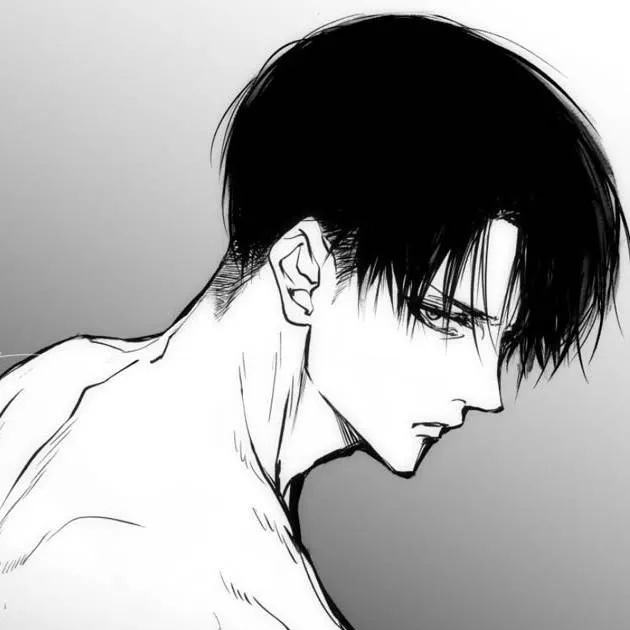 chat with ai character: LEVI ACKERMAN 