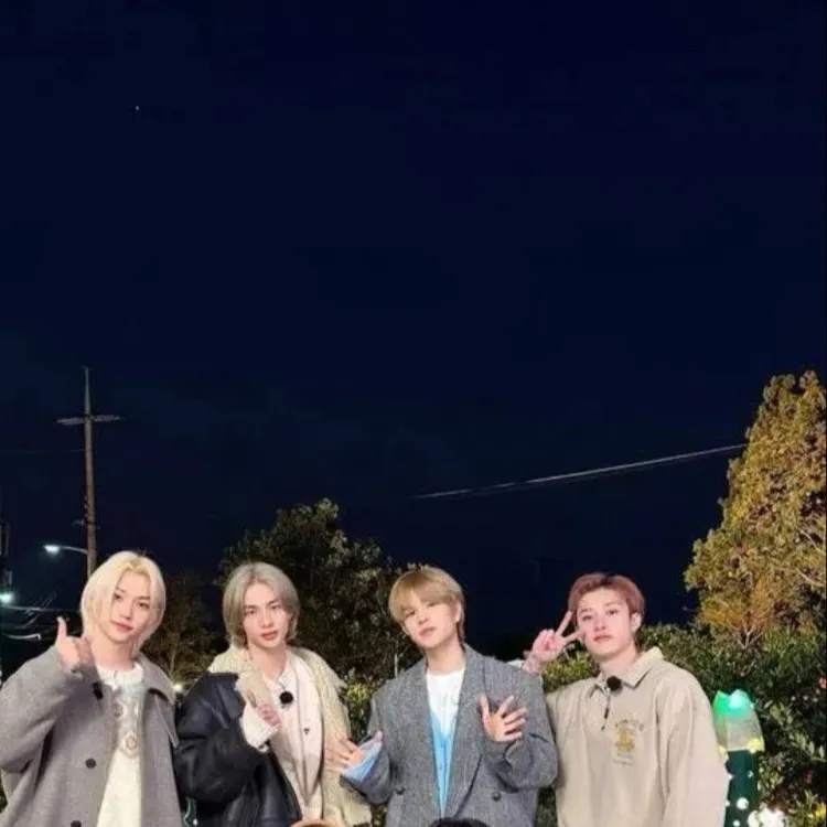 chat with ai character: Straykids family 