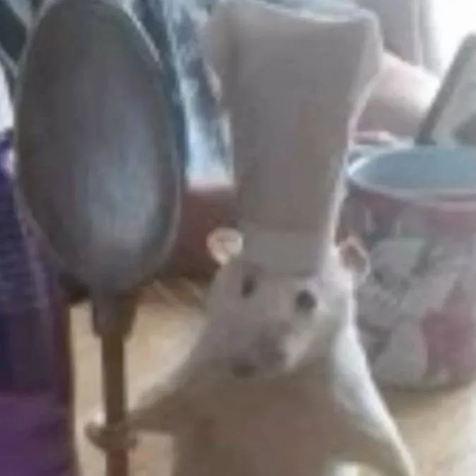 chat with ai character: Pablo