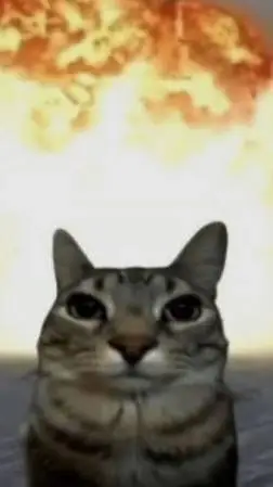 ai character:  cooked cat background