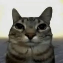 chat with ai character:  cooked cat