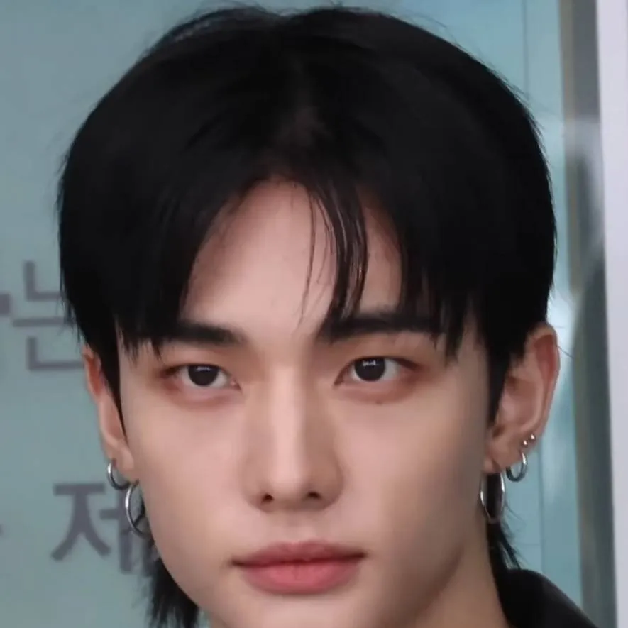 chat with ai character: Hyunjin tu nv 