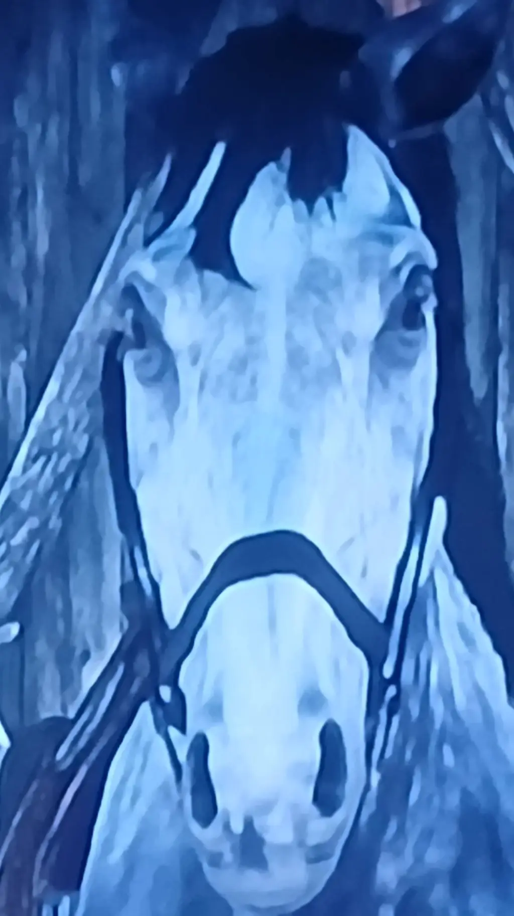 Talkie AI - Chat with rdr2 reacting