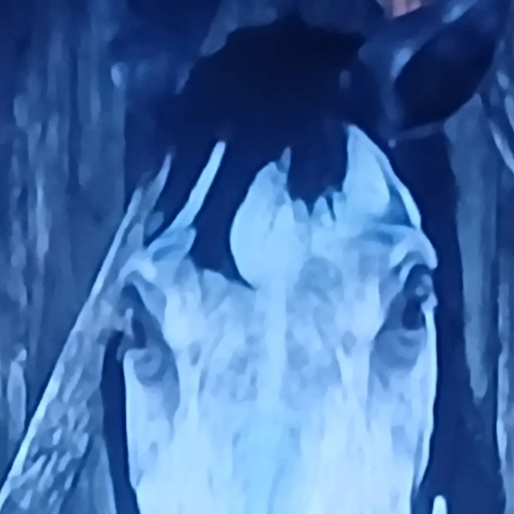 chat with ai character: rdr2 reacting