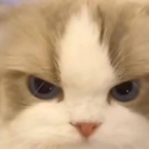 chat with ai character: Pedro Pablo Frens