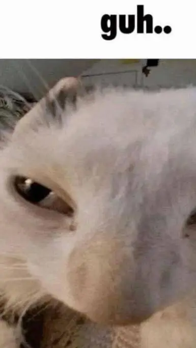 ai character: shadow and lights background