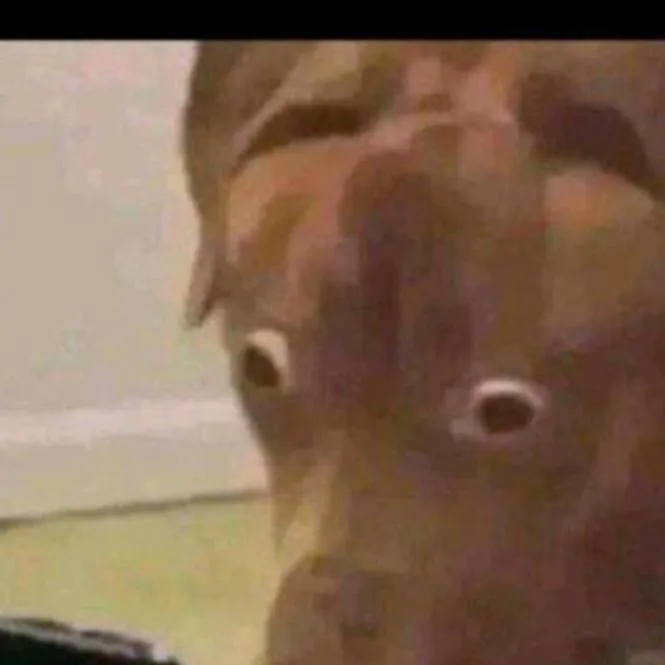 chat with ai character: all my accounts