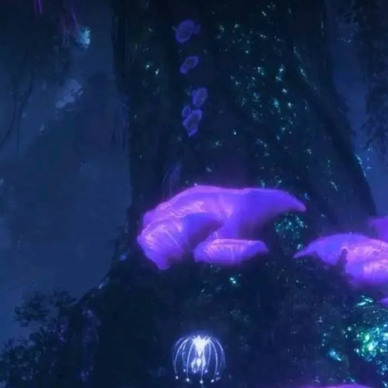 chat with ai character: AVATARRRR