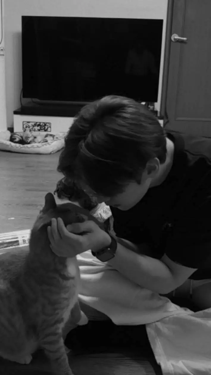 ai character: 🔥lee know🔥 background