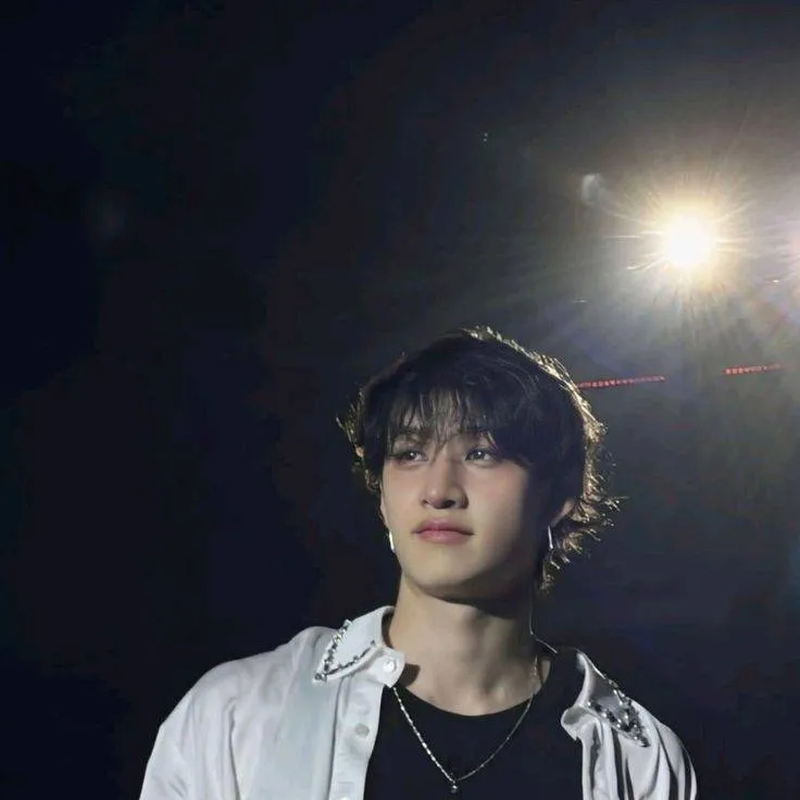 chat with ai character: 🐺Chan🐺