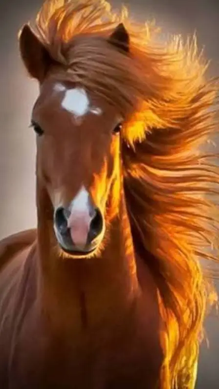 ai character: Horse back riding  background