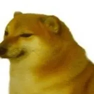 chat with ai character: tu perro
