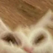 chat with ai character: 🏳️‍🌈🍃Sanegiyu🌊🏳️‍🌈