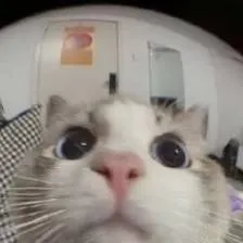 chat with ai character: Guest 666