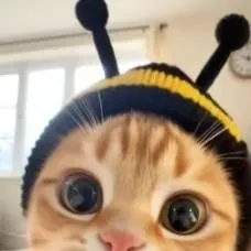 chat with ai character: coolkid get sick 