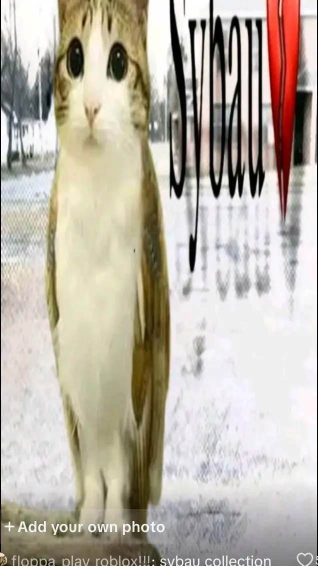 ai character: yuan background