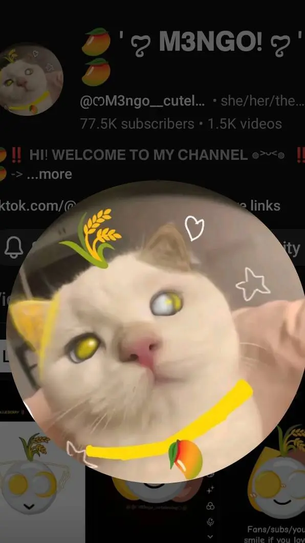 ai character: mango_cuteloving background