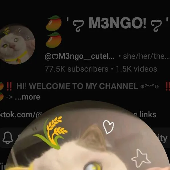 chat with ai character: mango_cuteloving
