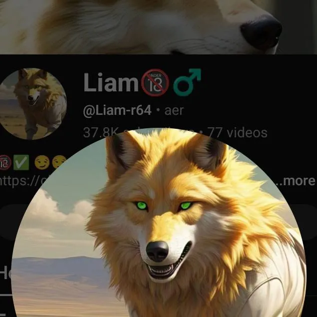 chat with ai character: liam_heat~