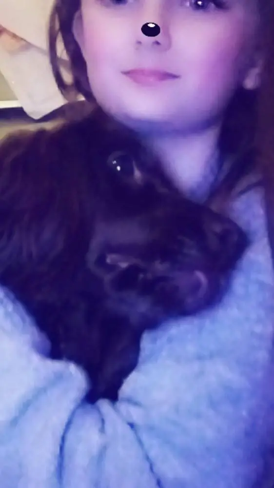 ai character: 𝐋𝐮𝐥𝐮 𝐝𝐨𝐠𝐠𝐲 background