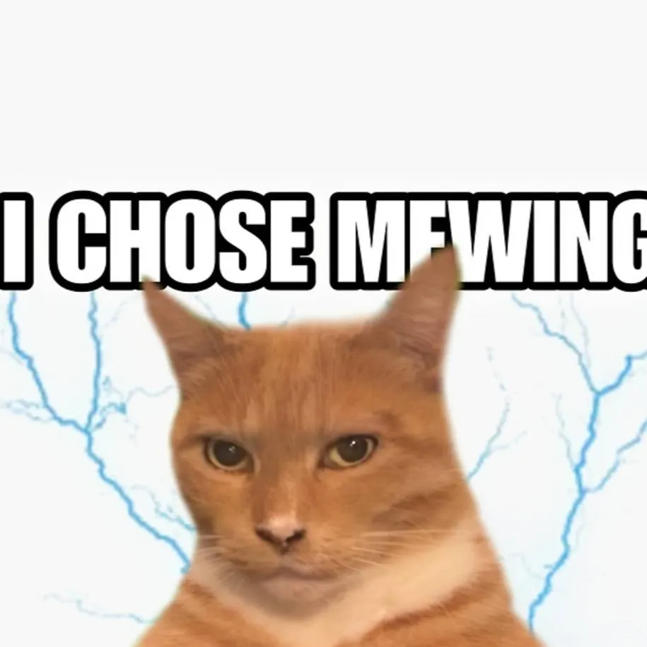 chat with ai character: mew cat