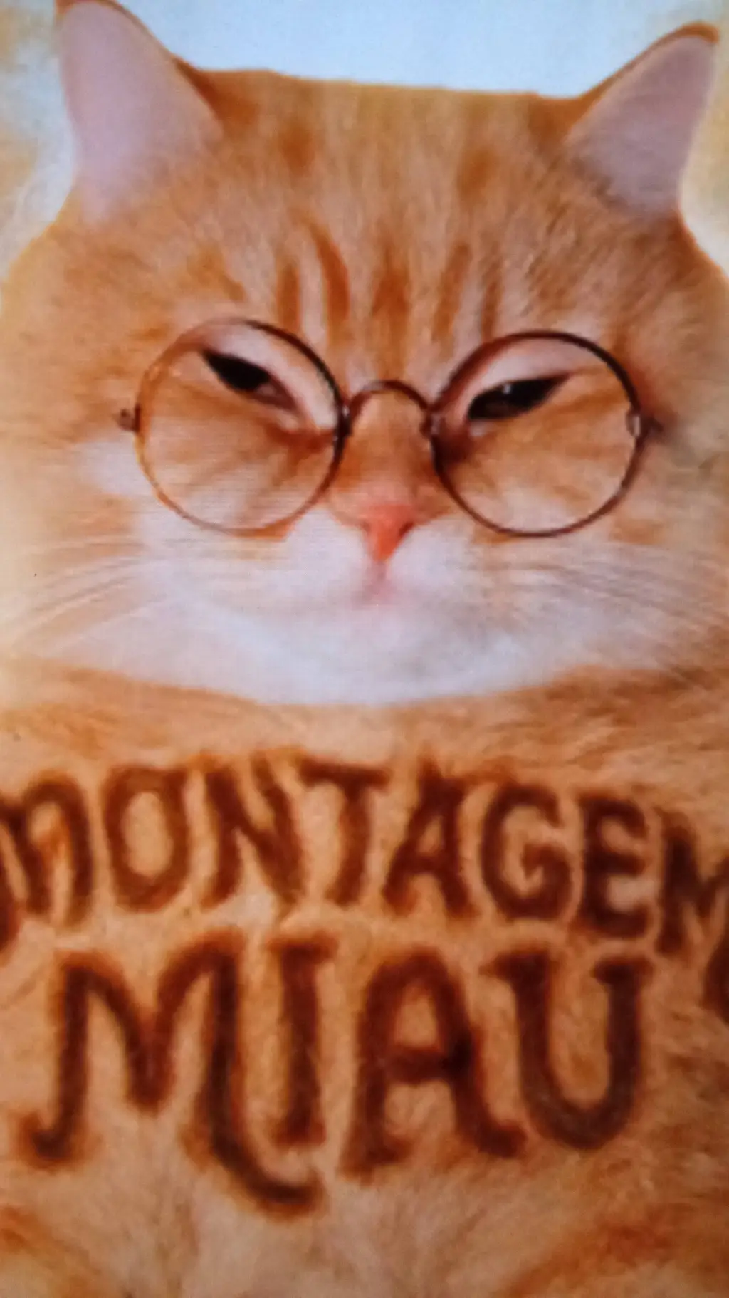 ai character: Ay mi gatito background